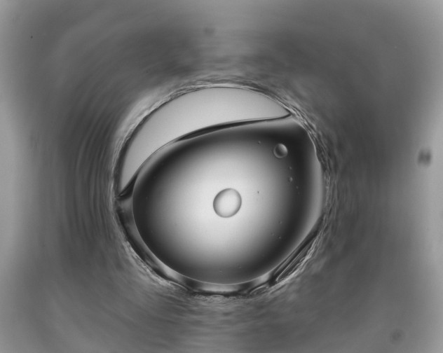 X0000091970293200709131344