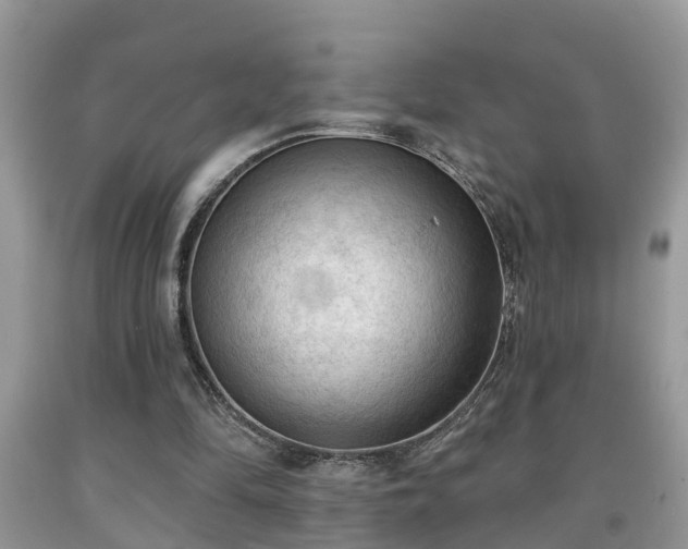 X0000091970294200709131344