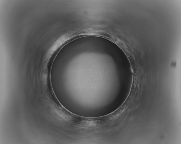 X0000091970295200709131344
