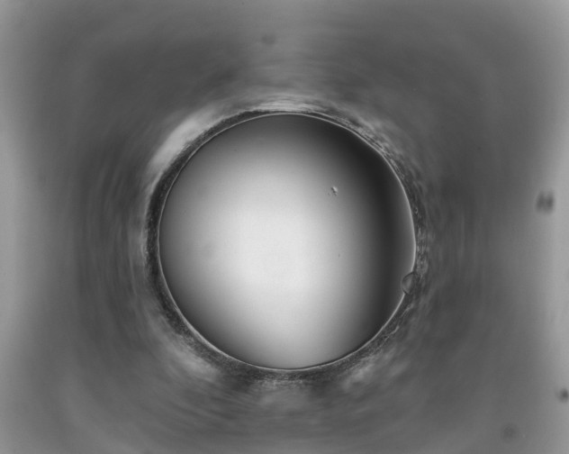 X0000091970296200709131344
