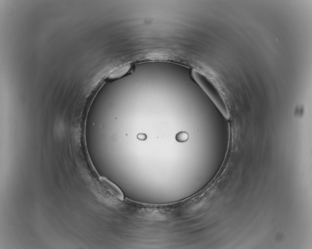 X0000091970297200709131344