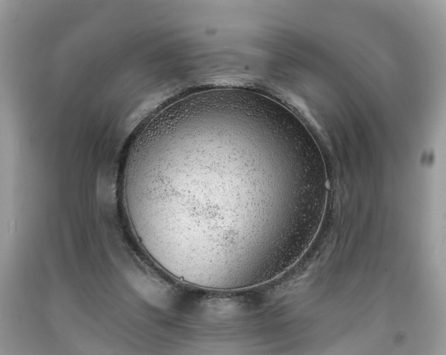 X0000091970299200709131344