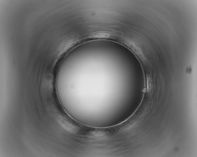 X0000091970300200709131344