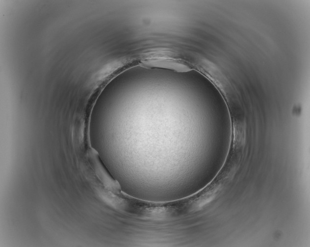 X0000091970301200709131344