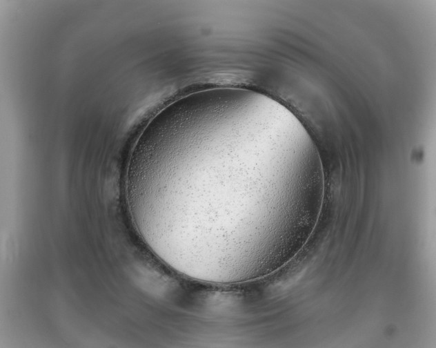 X0000091970303200709131344