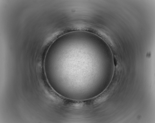 X0000091970306200709131344