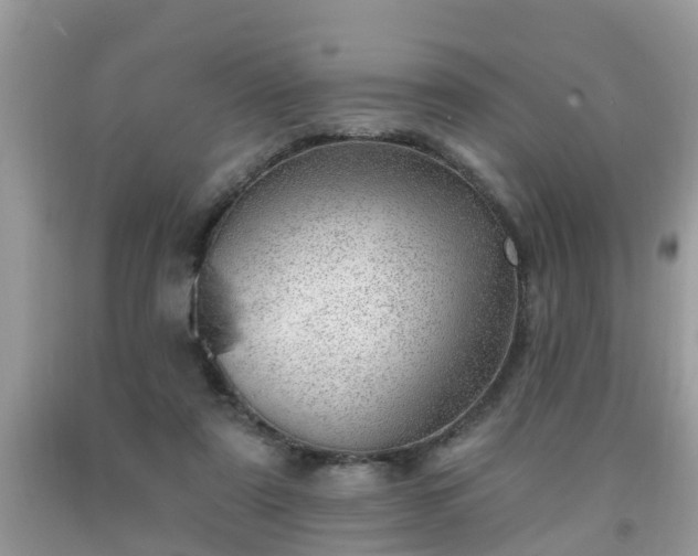 X0000091970307200709131344
