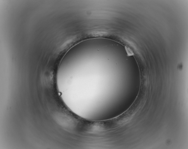 X0000091970308200709131344