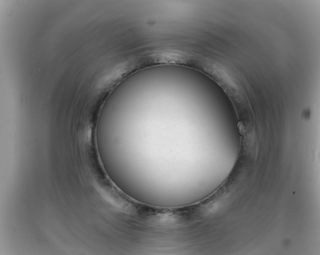 X0000091970310200709131344