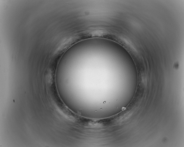 X0000091970311200709131344