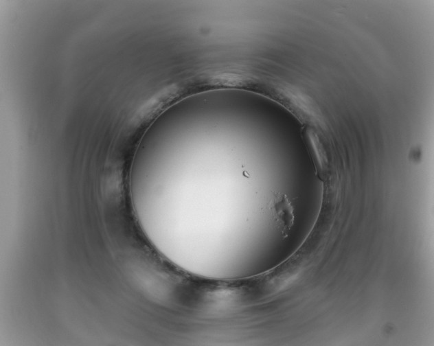 X0000091970312200709131344