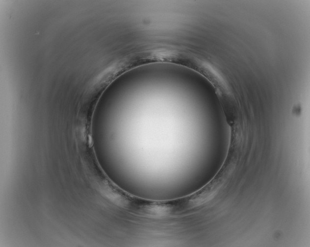 X0000091970313200709131344