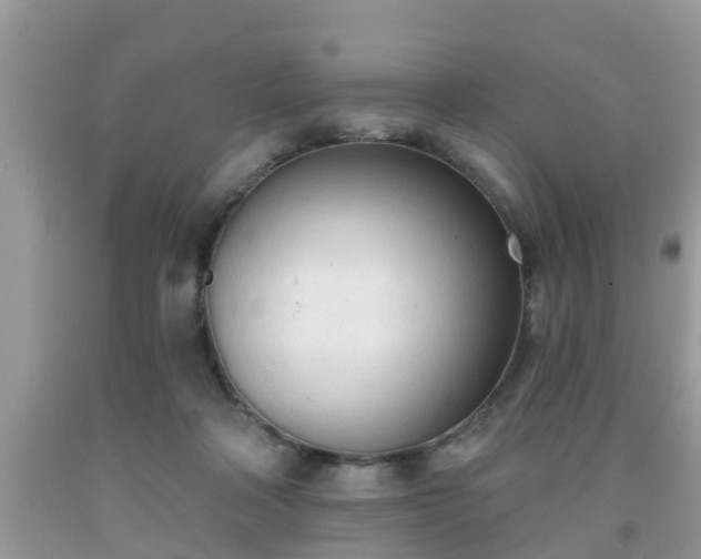 X0000091970314200709131344