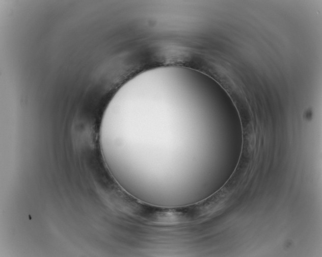 X0000091970316200709131344