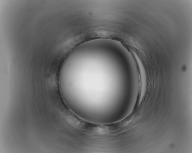 X0000091970317200709131344