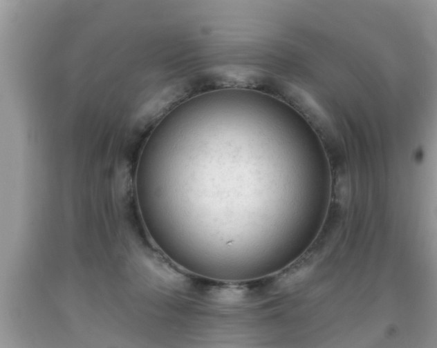 X0000091970318200709131344