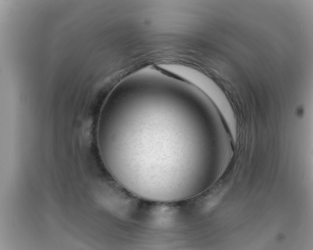 X0000091970319200709131344