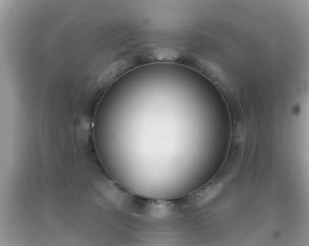 X0000091970321200709131344