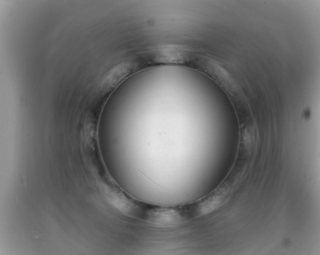 X0000091970322200709131344