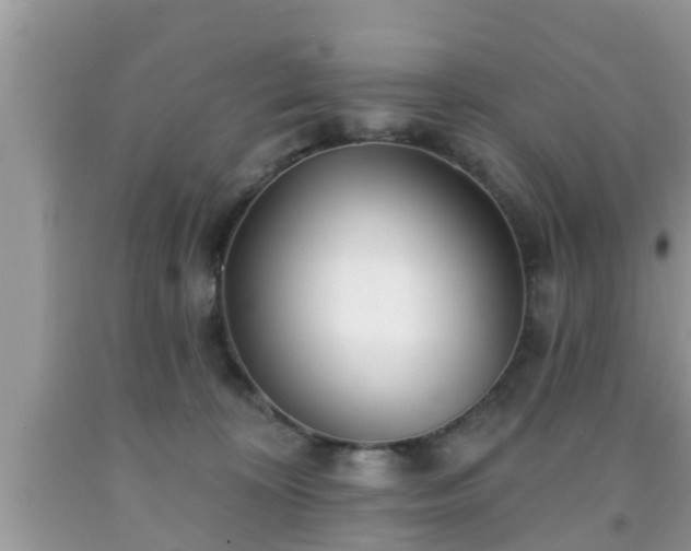 X0000091970324200709131344