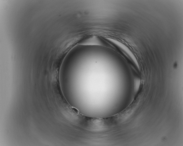 X0000091970325200709131344