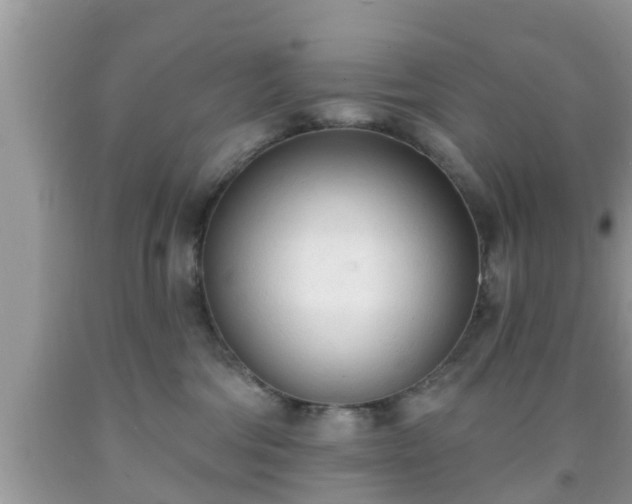 X0000091970330200709131344