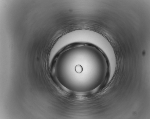 X0000091970333200709131344