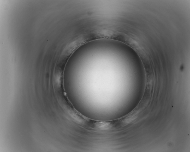 X0000091970334200709131344