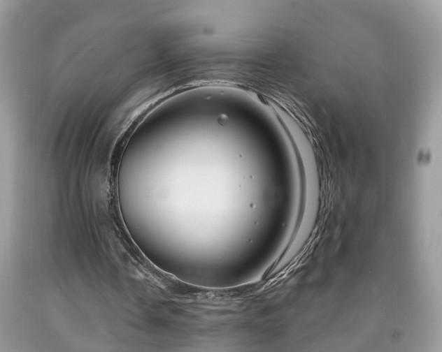X0000091970338200709131343