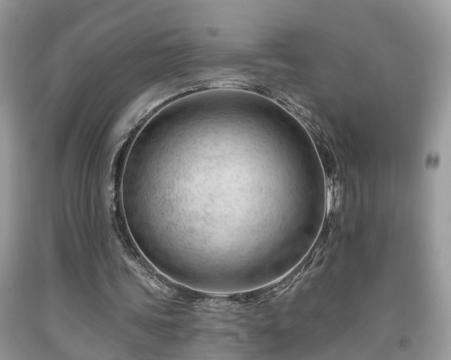 X0000091970339200709131343