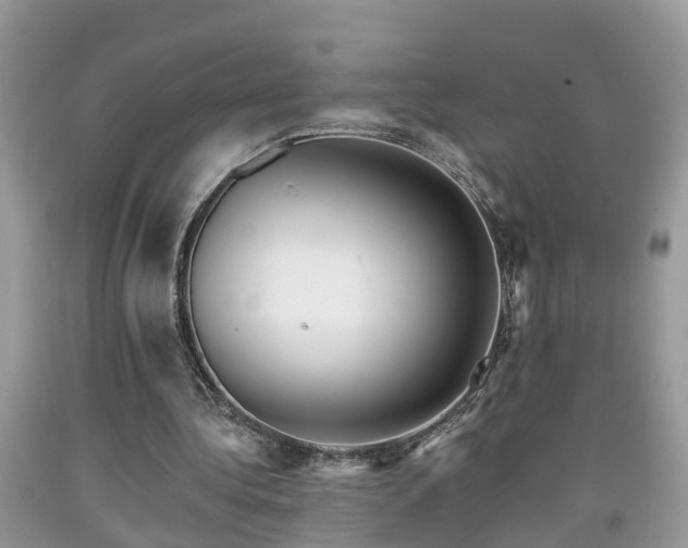 X0000091970340200709131343