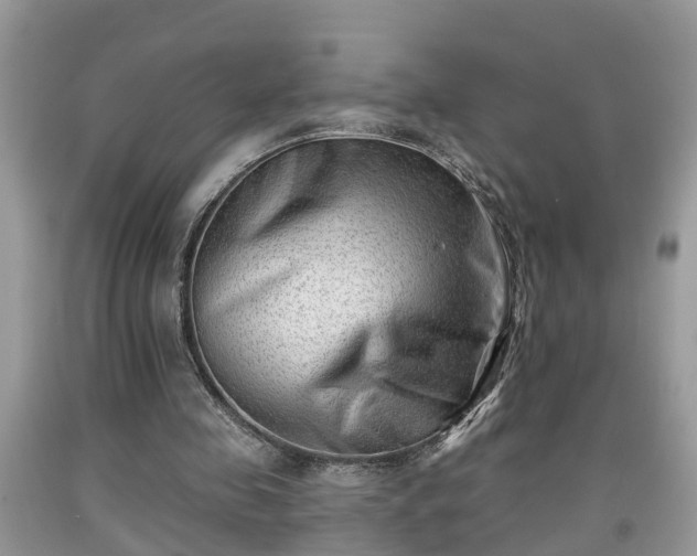 X0000091970341200709131343