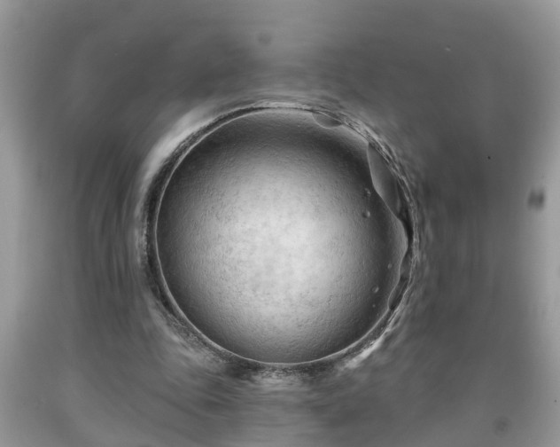 X0000091970343200709131343