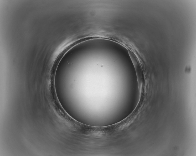 X0000091970344200709131343