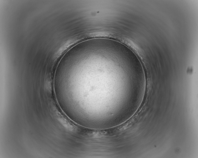 X0000091970345200709131343