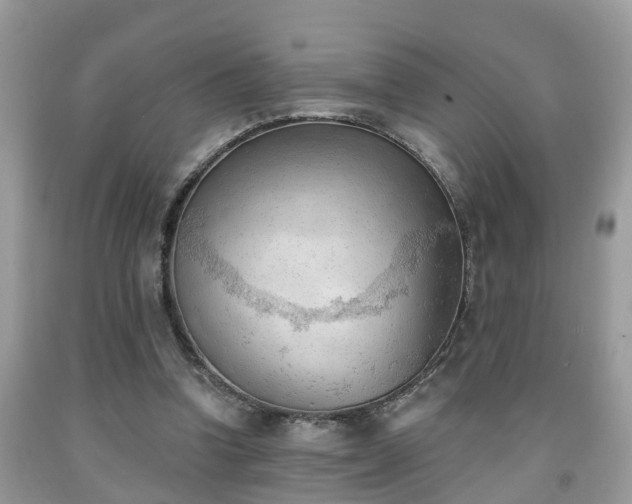 X0000091970346200709131343