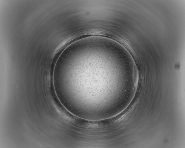X0000091970349200709131343