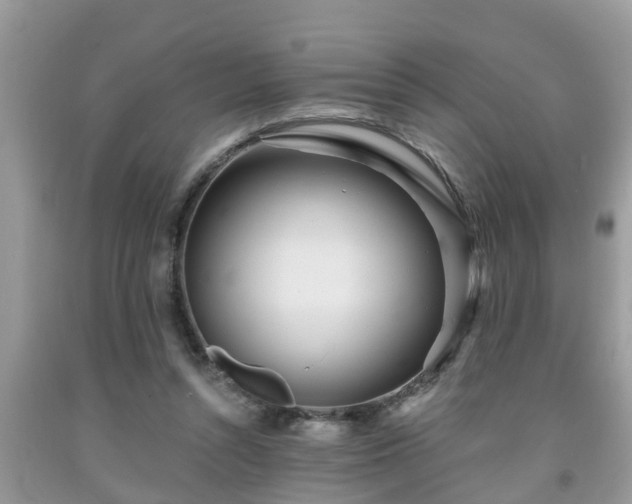 X0000091970352200709131343