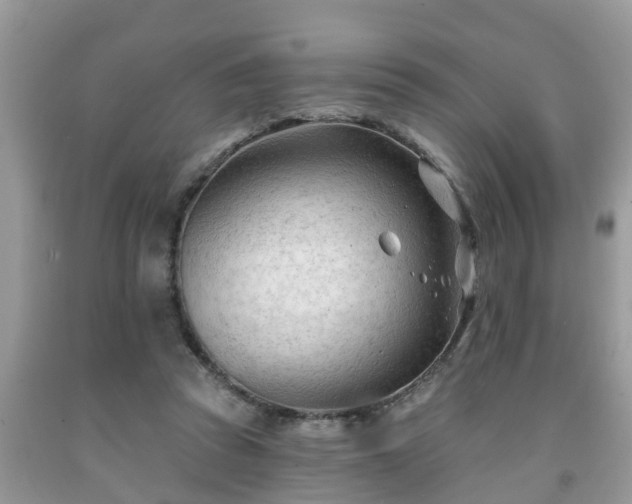 X0000091970353200709131343