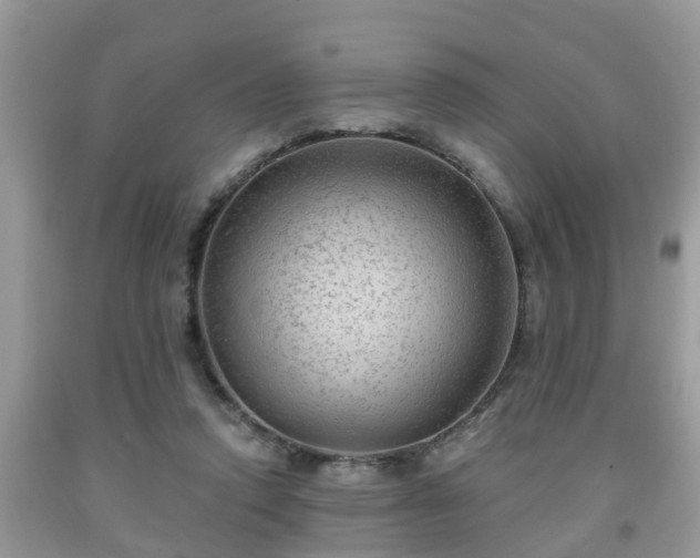 X0000091970354200709131343