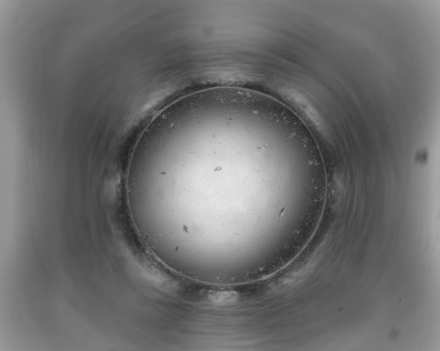 X0000091970355200709131343