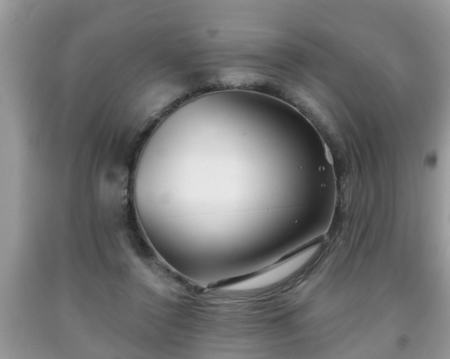 X0000091970356200709131343