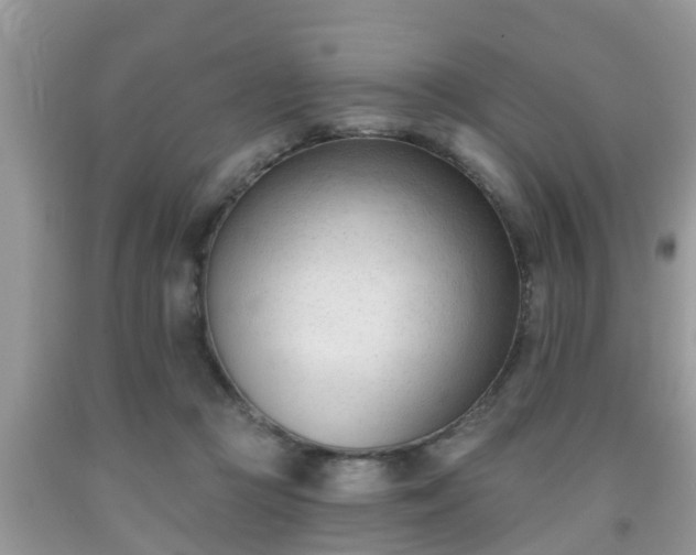 X0000091970361200709131343
