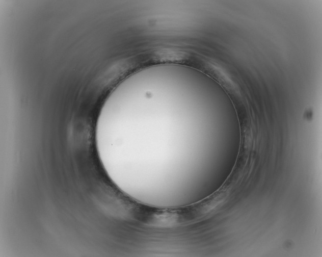 X0000091970362200709131343
