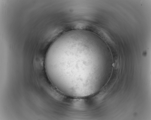 X0000091970363200709131343