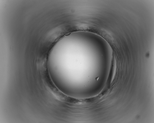 X0000091970364200709131343