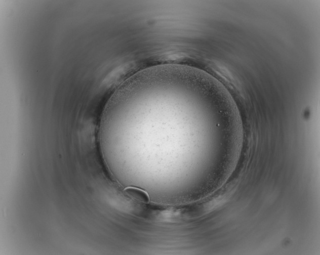 X0000091970366200709131343