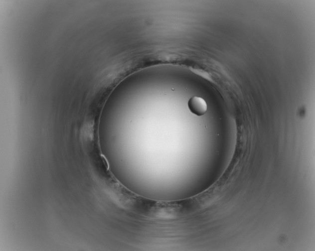 X0000091970368200709131343