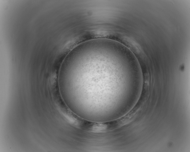 X0000091970369200709131343