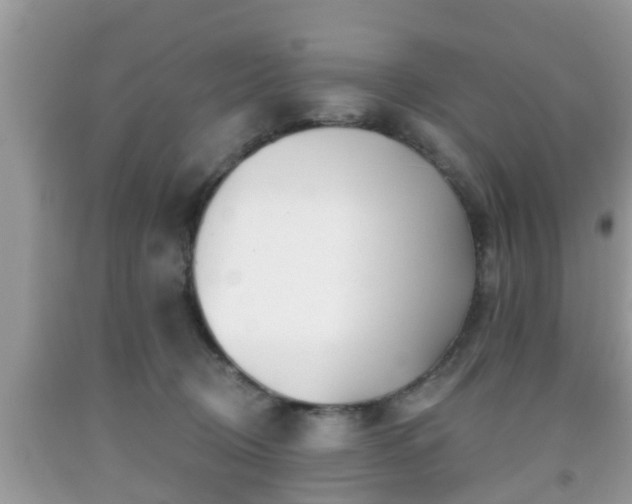X0000091970370200709131343